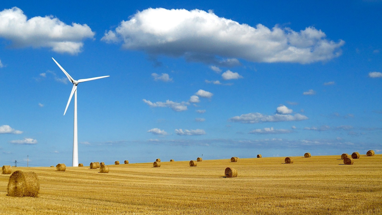 A wind turbine.