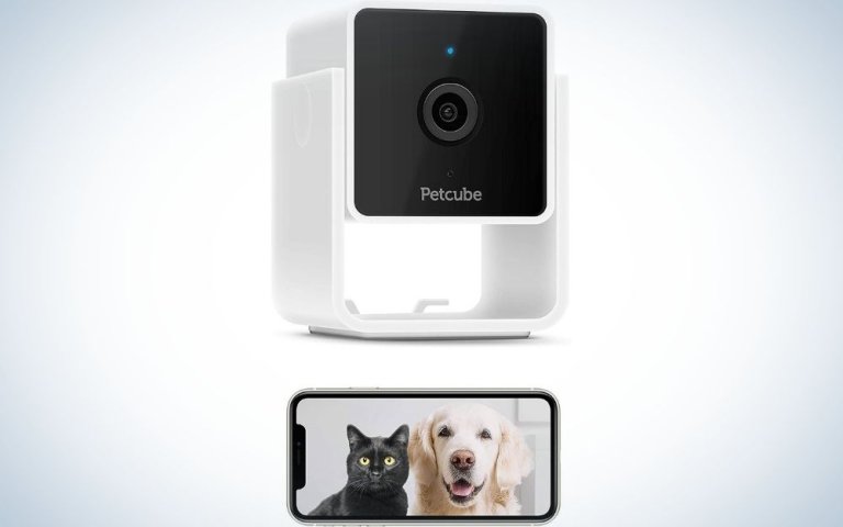 The Petcube Cam Pet Monitoring Camera is our pick for the best dog camera
