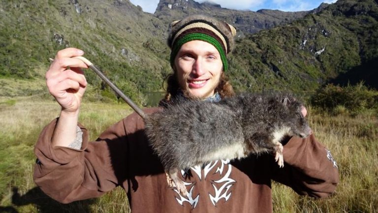 Man holding woolly rat out for camera